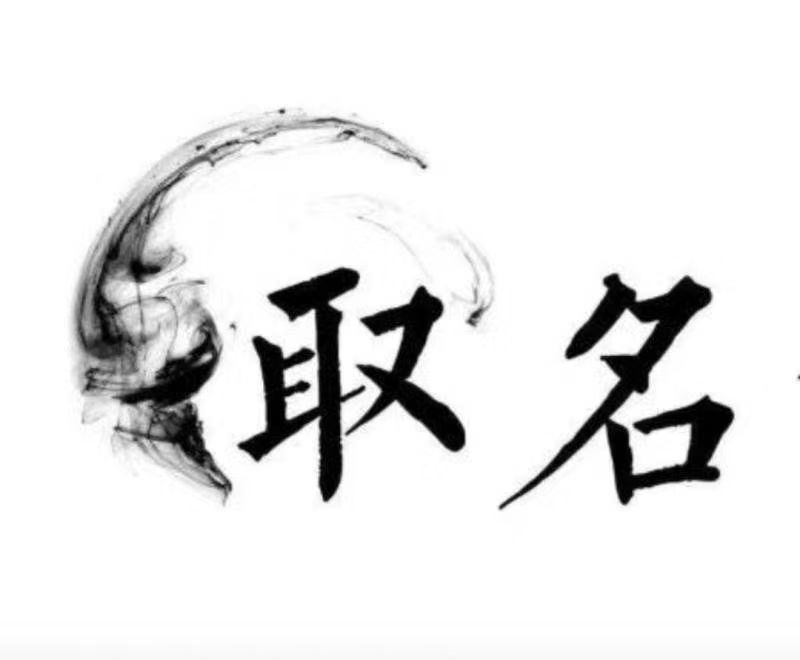  岗巴宝宝取名 大师一对一人工起名
